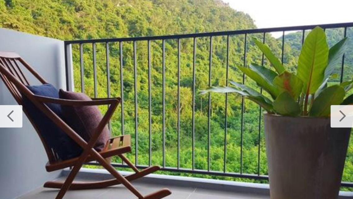 The Valley Khaoyai By Npp Apartment พญาเย็น ภายนอก รูปภาพ